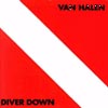 Diver Down
